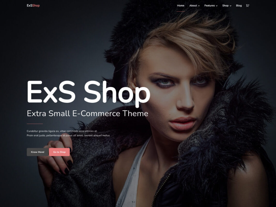 Meet ExS Shop theme – fastest WooCommerce theme for online shop and e-commerce