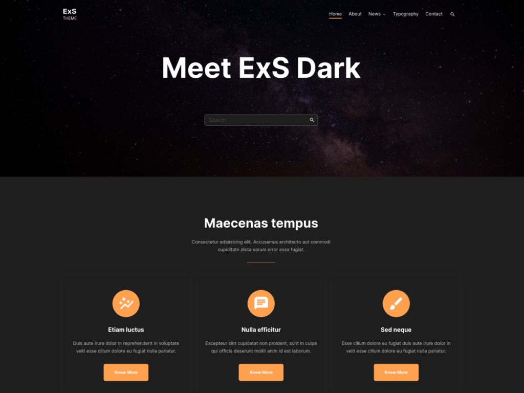 Dark Fastest WordPress Theme