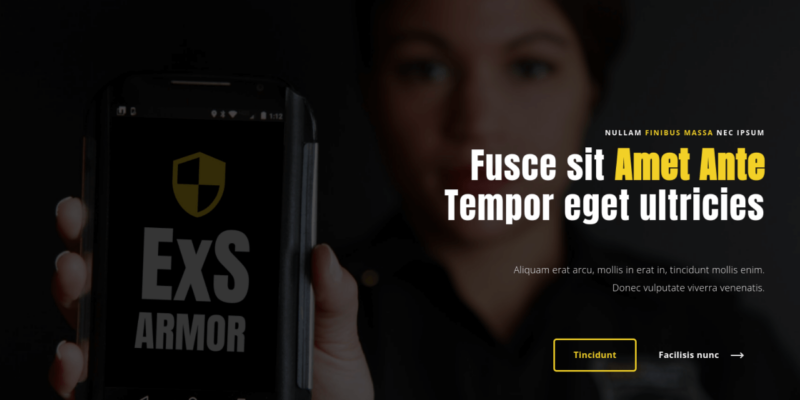 Security Fastest WordPress Theme is here for FREE – ExS Armor